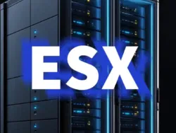 Servidores ESX